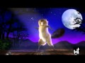 Beaver Sing Song