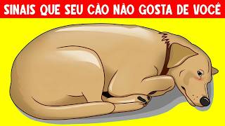 12 Sinais de que seu cachorro NÃO AMA VOCÊ (mesmo que você ache que sim...)