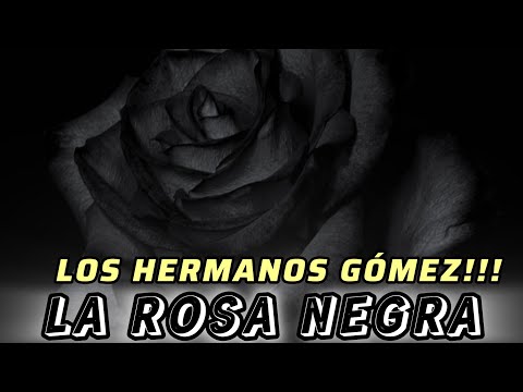 LOS HERMANOS GÓMEZ - La rosa negra #folkloreargentino