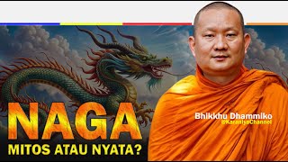 Download lagu Apakah Naga Benar-Benar Ada? 🐉 Penjelasan Menyentuh dari Bhante Dhammiko | Karaniya Channel mp3