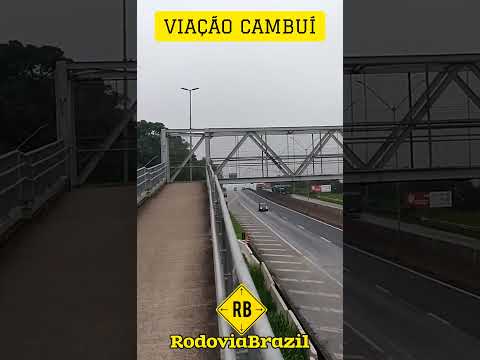 DE CAMBUÍ PARA SÃO PAULO NA FERNÃO DIAS KM 38.5 #rodoviabraziloficial #busscar #shorts #short