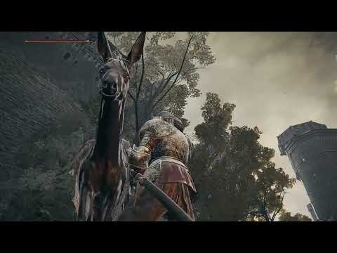 the elden ring multiplayer experience