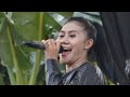 Nurma Manuk Kecepit PANTURA 260812