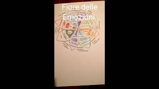 Fiore delle Emozioni di Plutnick