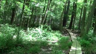 preview picture of video 'Charles River Link Trail Dover MA Chase Woodlands Part 1.'