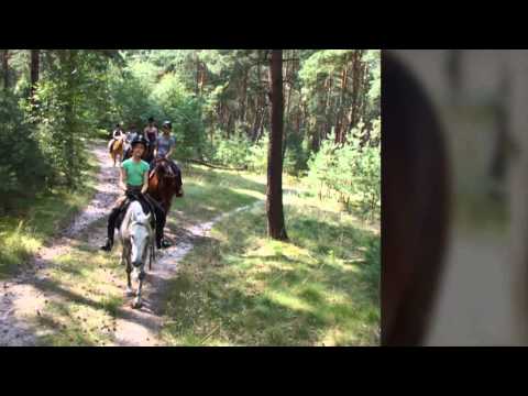 Reiterferien - Berlin - Der Schäferhof - Ihr Reiterhof in Brandenburg!