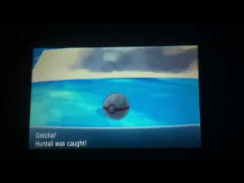 Pokemon X and Y: Shiny Huntail