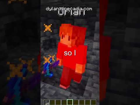 I Found Grian On My Minecraft SMP