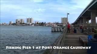 preview picture of video 'Port Orange Causeway Fishing Piers'