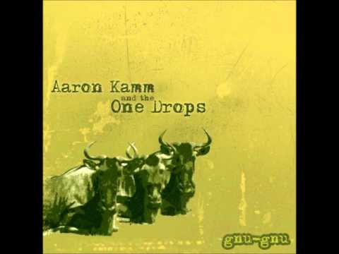 Aaron Kamm and the One Drops - gnu gnu