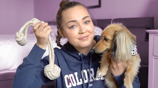 How To Teach Your Dog "Leave It" (with toys and treats)