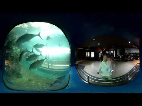 Аквариум на о. Пхукет. Phuket Aquarium.