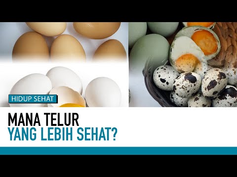 , title : 'Telur Ayam, Telur Bebek, Telur Puyuh, Mana Lebih Sehat? | Tips Sehat'