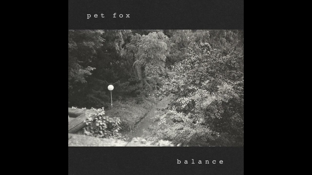 Pet Fox - Moving Along