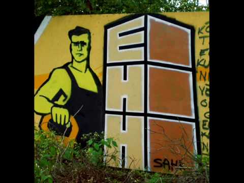 Wild Disease feat Sandra Reaalsus vs Ebausk