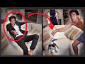A Penguin STOLE MY DATE Best Zach King Tricks Compilation 49