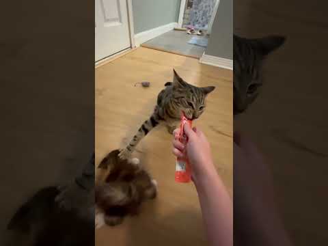 Elle n'aime pas partager 🤣✋✋