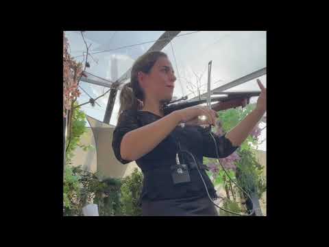 Promotional video thumbnail 5 for Gokce EREM, The Violinist