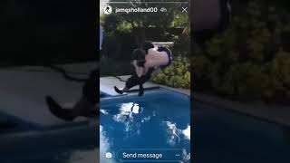 tom holland throwing his brother paddy in the pool