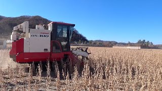 콩 농사 콤바인으로 수확 - gs400 작업 속도는?