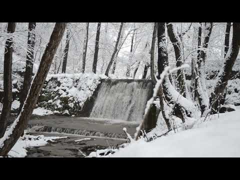 Snowy waterfall | White forest | Relaxing winter video & nature sounds | 1 hour