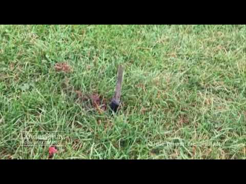 Kinder und Eltern AUFPASSEN