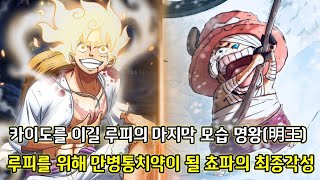 [원피스 1047화 심층분석]티치의 각성으로 순록으로 돌아가는 쵸파 그리고 쵸파 열매의 최종각성 만병통치약