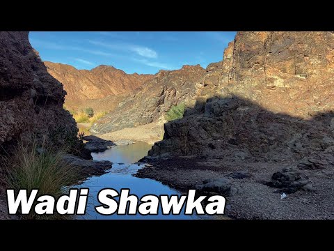Wadi shawka