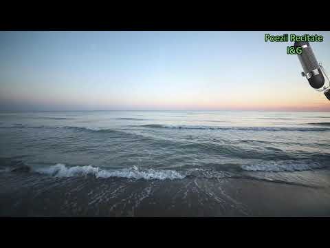 CONTRACT CU MINE-versuri Licuţa PÂNTEA-recită Carolina EREMIA