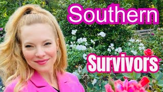 🌸Roses That Survive The South And Beyond 2026