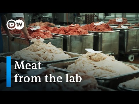 The World of Meat Substitutes