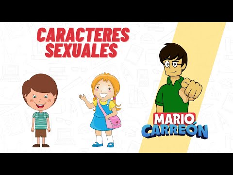 Caracteres sexuales