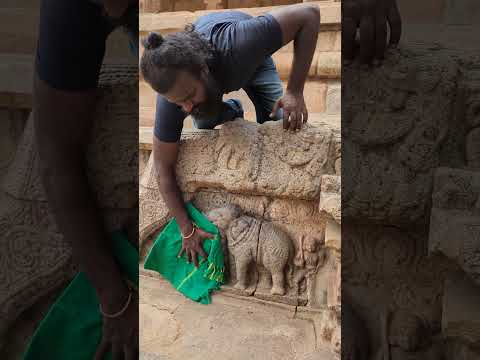 How is this posible😱 A elephant  and a cow hideen in single stone⁉️ #ytshorts