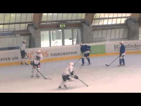 ZSC Lions Training 18  August 2015   Wick, Cunti, Shannon