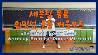 초등학교 5학년 체육 온라인 수업 - 세븐틴 붐붐 워밍업 운동 거울모드(Seventeen Boom Boom Warm up Exercise Dance Mirrored)