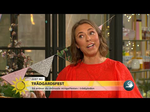 Så blir du bäst - på trädgårdsfest! - Nyhetsmorgon (TV4)