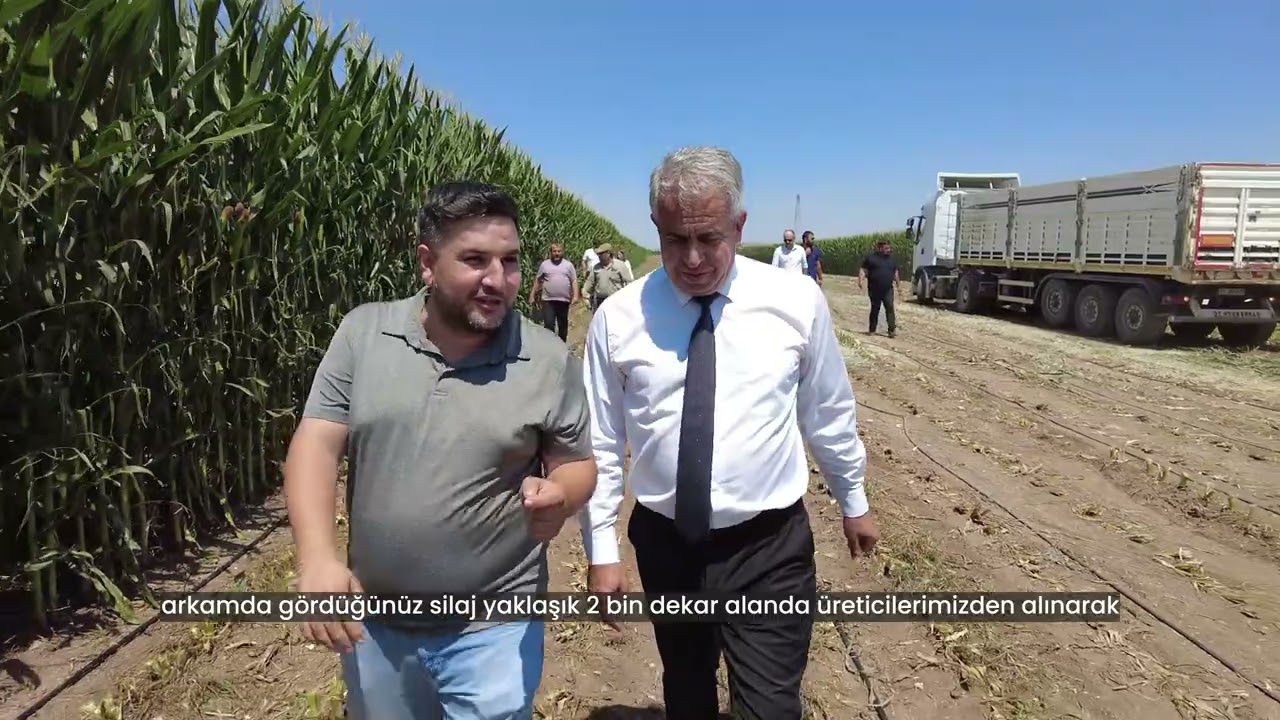 Kalecik Belediyesi iş birliğiyle hayvancılıkla uğraşan üreticilerimize destek oluyoruz.