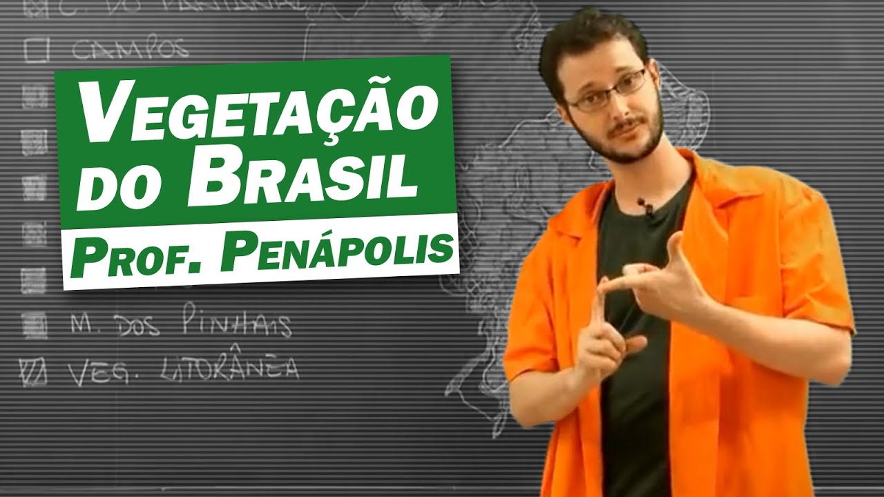 Geografia - Vegetação do Brasil