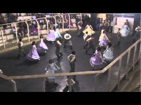 Tatu de Castanhola - Aldeia - Sto. Antônio