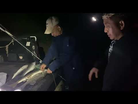 LOJLEEB nuv ntses 4/26/2025