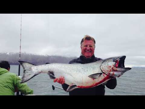 King salmon and Halibut limits Old Harbor on Kodiak Island in Alaska