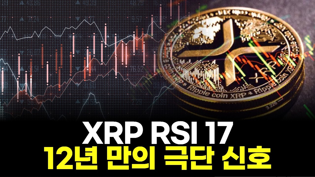 XRP RSI 17…12년 만의 극단 신호