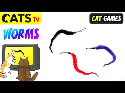 CAT GAMES 📺 Crazy Worms 🐛😻 Best game for cats 🔊 3D Sound