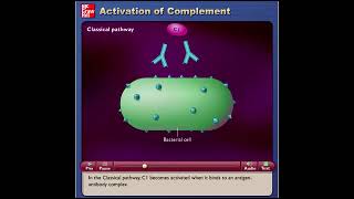 21.2 D and E Antimicrobial Proteins and Fever