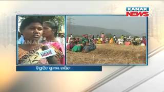 Protest of Tribals Displaced By Rourkela Steel Plant