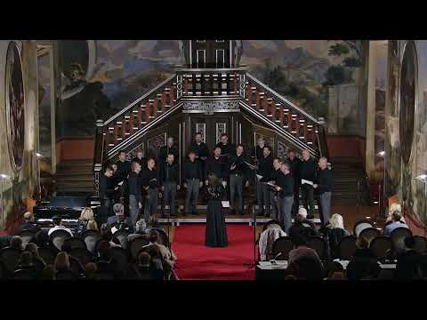 Regijsko tekmovanje odraslih pevskih zasedb Dolenjske, Bele krajine in Posavja 2025, MoPZ Kapele