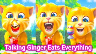 Talking ginger eats Red Chilli to pizza 😱🌶️🍕| funny food challenge | ginger cat cartoon