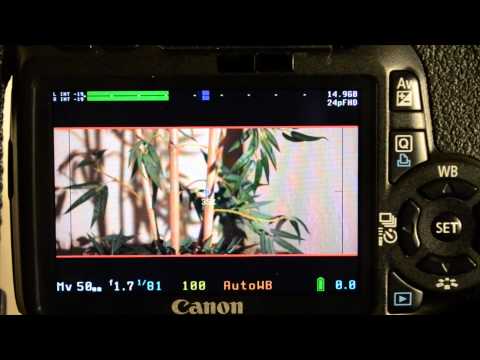 download lagu mp3 mp4 Letterbox Camera, download lagu Letterbox Camera gratis, unduh video klip Letterbox Camera