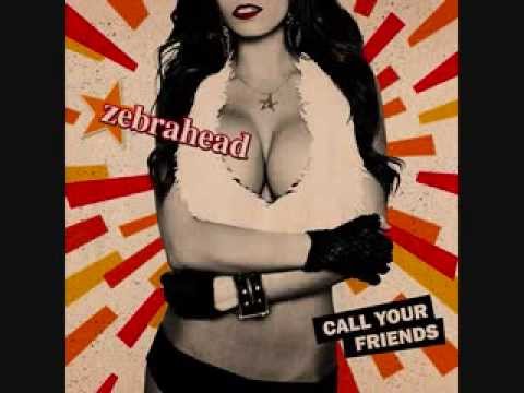 Zebrahead - I'm Just Here For The Free Beer Lyrics