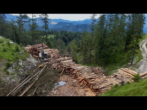 Die Schlacht der Lärchen mit STIHL MS 400 C + ValFast von BaSt-Ing